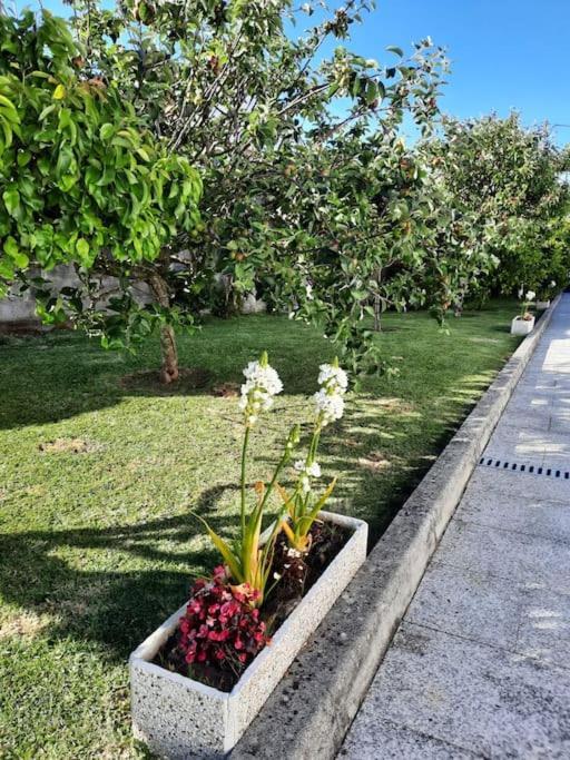 Atico En O Grove Con Jardin Διαμέρισμα Εξωτερικό φωτογραφία